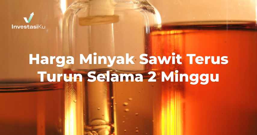 Harga Minyak Sawit Terus Turun Selama 2 Minggu